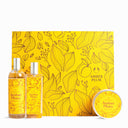 هدية مجموعة آمبر پلم