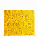 هدية مجموعة آمبر پلم