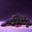 هدية صغيرة ديو بري