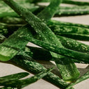 Aloe Caring Roll-on Deodorant