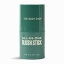 All In One Blush Stick